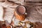 Cup of hot cocoa on rustic wooden bench with knitting soft scarf, closeup photo of warm sweater with american cookies, winter