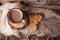 Cup of hot cocoa on rustic wooden bench with knitting soft scarf, closeup photo of warm sweater with mug leaves of oak, winter