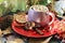 A cup of hot drink, berries, pumpkins, spices, a scarf, autumn leaves on the background of the window