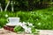 Cup of hot tea, book and branch of an apple tree. Tea in the garden