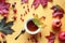 A Cup of hot tea with a maple leaf on the background of cranberries, apples and rose hips and autumn foliage, top view