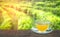 Cup of hot tea and tea leaf on the wooden table and the tea plantations background