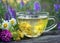 A cup of linden tea and medicinal herbs on a wooden table. fresh clover, chamomile and linden. herbal tea. flu and cold remedies.