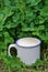 Cup of milk over clover grass background