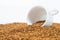 Cup on Pile of instant coffee grains on white background