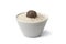 Cup of raw rice with black winter truffle