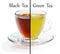 Cup split in half. Tough choice green tea vs black tea concept