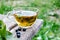 A cup of tea with black currant leaves. Tea with currants on a wooden table in the open air