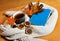 Cup of tea, book, scarf and cookies on wooden table