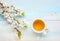 Cup of tea and branches of blossoming apricot on old light blue wooden table