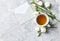 Cup of Tea and Prairie Gentian Flowers on gray stone background