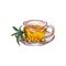 A cup of tea with sea buckthorn. Glass transparent cup filled with sea buckthorn tea. Watercolor illustration.