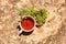 Cup of tea and wild forest strawberry berry on stem with green leaves on stone mountain background, outdoor, top view