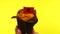 Cupcake with Albanian flag on male palm against yellow background