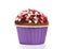 Cupcake. chocolate muffin on white background