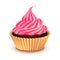 Cupcake with pink cream on white vector