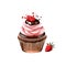 Cupcake with raspberry cream and chocolate, muffin isolated on white background. Street food, take-away, take-out. Fast