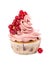 Cupcake with red currant