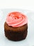 Cupcake rose cream