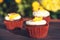 Cupcakes with cream and candy. Delicious Easter cupcakes on table. Tasty chocolate cupcakes. Holiday Easter card