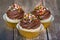 Cupcakes with creamy chocolate frosting