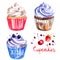 Cupcakes painted with watercolors on white background. Colorful cakes for holiday