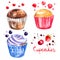 Cupcakes painted with watercolors on white background. Colorful cakes for holiday