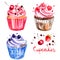 Cupcakes painted with watercolors on white background. Colorful cakes for holiday