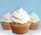 Cupcakes with vanilla buttercream frosting yummy and delicious bakery goods