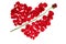 Cupid arrow in a red rose petals heart shape