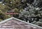 Cupola on top of Shingled House