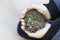 Cupped child hands holding a green seedling  Small germinated plant with black soil