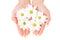 Cupped hands with flowers