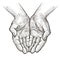 Cupped hands, folded arms sketch. Vintage vector illustration