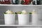 Cups with frozen yogurt on fridge shelf