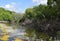 Curacao Rif Mangrove Park landscape