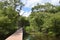 Curacao Rif Mangrove Park landscape