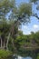 Curacao Rif Mangrove Park landscape