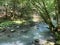 Curak stream near the Zeleni vir picnic area in Gorski kotar - Vrbovsko, Croatia / Potok Curak kod izletiÅ¡ta Zeleni vir