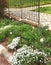Curbside Garden Features Spring Flowers