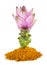 Curcuma flower and powder