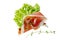 Cured dried pork meat slice on lettuce salad leaf with branch thyme isolated on white background.  Traditional mediterranean food