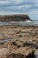 Curio Bay in Catlins at low tide