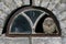 Curios little owl Athene noctua  sitting in window with broken glass of an old ruined house. Concept of urban animal wildlife.