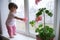 Curiosity childness. curious baby girl full body in pink clothes one year old on the window with geranium flower