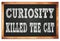 CURIOSITY KILLED THE CAT words on black wooden frame school blackboard