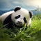 A curious baby panda playfully rolling down a grassy slope, its black and white fur contrasting with the green by AI generated