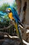 Curious big parrot on a branch