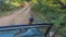 A curious bird Rufous treepie perched on the windshield of an SUV.