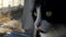 A curious black-and-white cat looks out of an open window on a high floor. Sitting by the safety net on the windowsill.